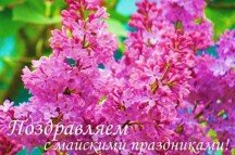 Поздравляем с наступающими майскими праздниками!