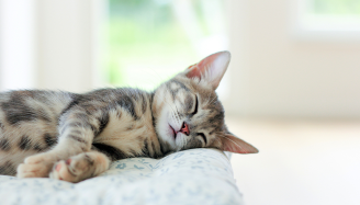 Новая услуга - ремонт и обслуживание пластиковых окон