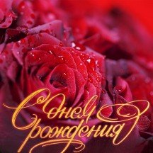 Празднование дня рождения Юлии